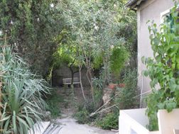 Photo n°2