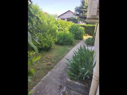 Photo n°18