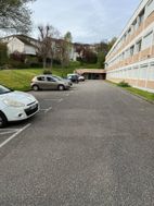 Photo n°6