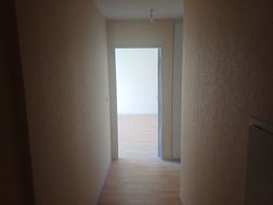 Photo n°6