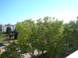 Photo n°5