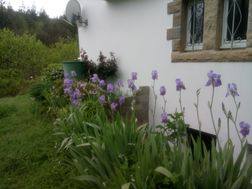 Photo n°3