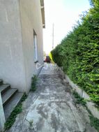 Photo n°4