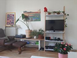Photo n°2