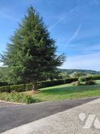 Photo n°3