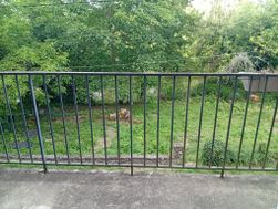 Photo n°3