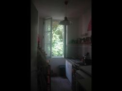 Photo n°7