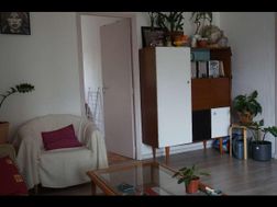 Photo n°4