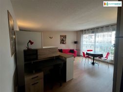 Photo n°4
