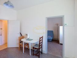 Photo n°4