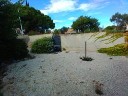 Photo n°3