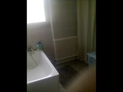 Photo n°3