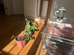 Photo n°3
