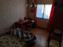 Photo n°5