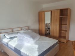 Photo n°4