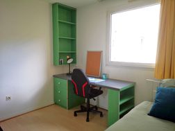 Photo n°5