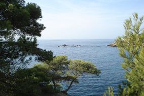 Photo n°1