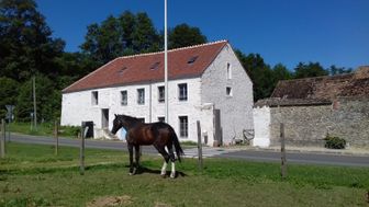 Photo n°1