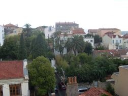 Photo n°8