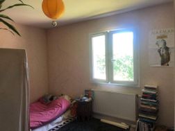 Photo n°5