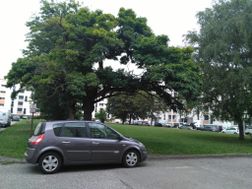 Photo n°2