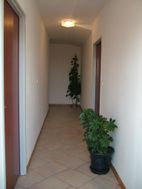 Photo n°2