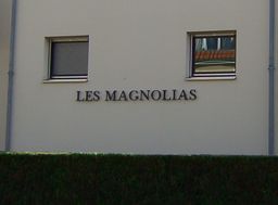 Photo n°4