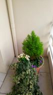 Photo n°2