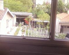 Photo n°9