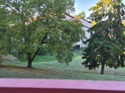 Photo n°5