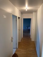 Photo n°4