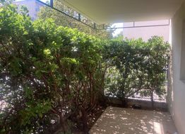 Photo n°2