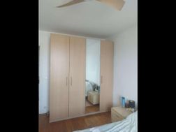 Photo n°4