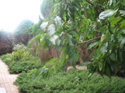 Photo n°6