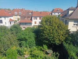 Photo n°6
