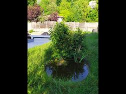 Photo n°1