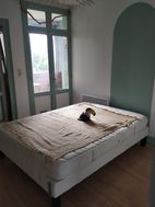 Photo n°2