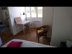 Photo n°6