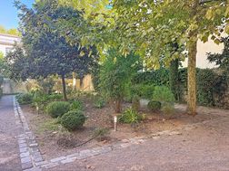 Photo n°6