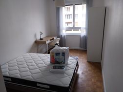 Photo n°4