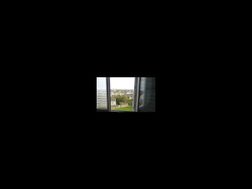 Photo n°5