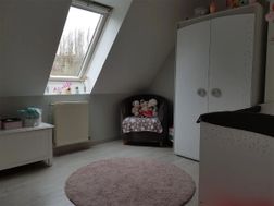 Photo n°6