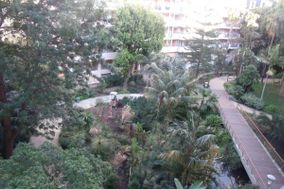 Photo n°1