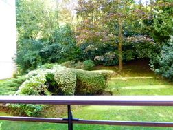 Photo n°5