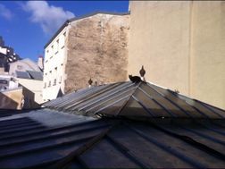 Photo n°3