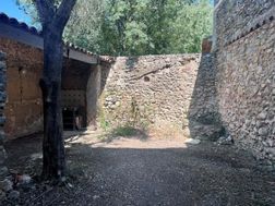 Photo n°4