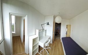 Photo n°1