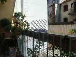 Photo n°5