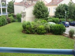 Photo n°1