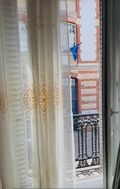 Photo n°6